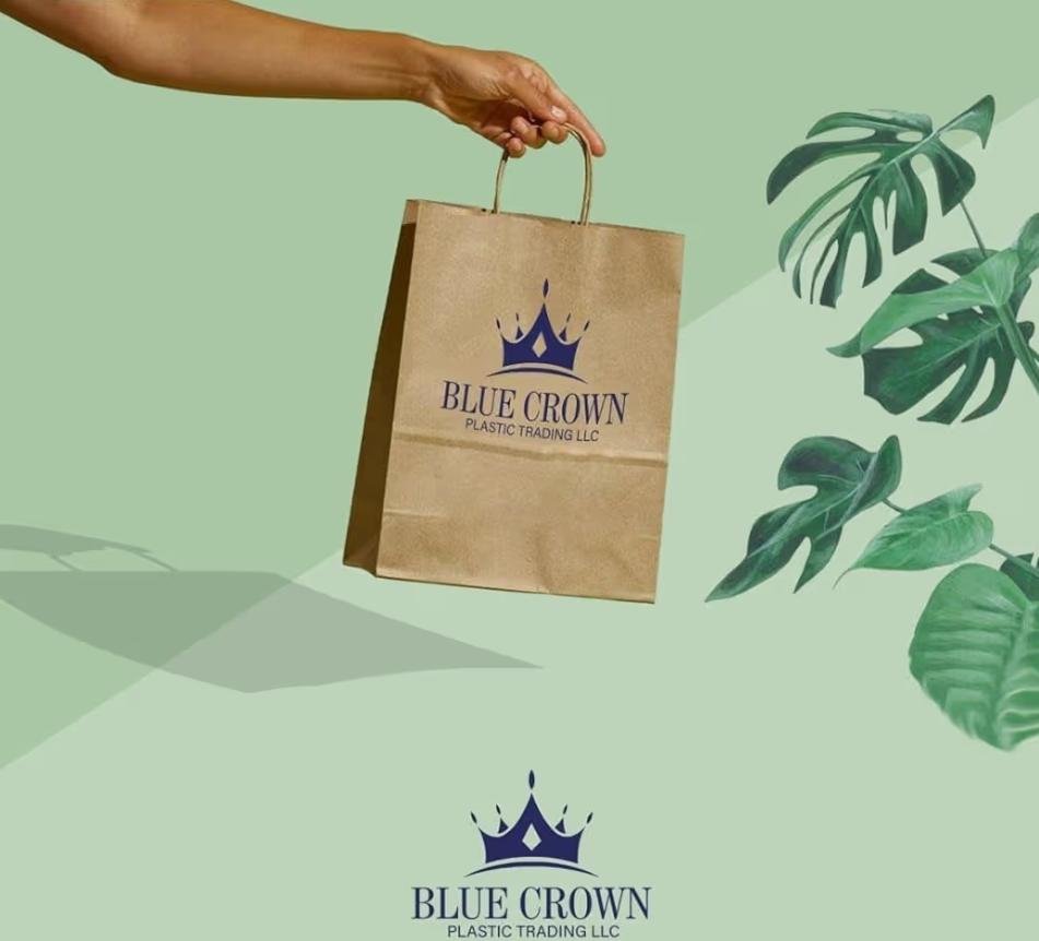 Twisted Handle Kraft Brown Paper Bag 24*12*31cm (250 pcs)